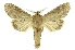  ( - INB0004147510)  @11 [ ] Copyright (2012) Juan Mata Lorenzen Unspecified