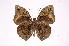  ( - INB0004149557)  @14 [ ] Copyright (2012) I. Chacon Instituto Nacional de Biodiversidad