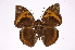  ( - INB0004149559)  @14 [ ] Copyright (2012) I. Chacon Instituto Nacional de Biodiversidad