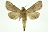  ( - INB0004153853)  @12 [ ] Copyright (2012) Juan Mata Lorenzen Unspecified