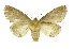  ( - INB0004153984)  @13 [ ] Copyright (2012) Juan Mata Lorenzen Unspecified
