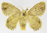  ( - INB0004157440)  @14 [ ] Copyright (2012) J. Montero Instituto Nacional de Biodiversidad
