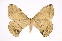 ( - INB0004157636)  @14 [ ] Copyright (2012) I. Chacon Instituto Nacional de Biodiversidad