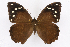  ( - INB0004157873)  @14 [ ] CreativeCommons - Attribution Non-Commercial Share-Alike (2012) National Biodiversity Institute of Costa Rica National Biodiversity Institute of Costa Rica