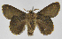  ( - INB0004158704)  @12 [ ] Copyright (2012) J. Montero Instituto Nacional de Biodiversidad
