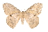  ( - INB0004159549)  @14 [ ] Copyright (2012) I. Chacon Instituto Nacional de Biodiversidad