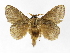  ( - INB0004159635)  @14 [ ] Copyright (2012) J. Montero Instituto Nacional de Biodiversidad