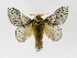  ( - INB0004160660)  @15 [ ] Copyright (2012) J. Montero Instituto Nacional de Biodiversidad