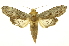  ( - INB0004160965)  @14 [ ] Copyright (2012) Juan Mata Lorenzen Unspecified
