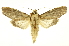  ( - INB0004160965)  @14 [ ] Copyright (2012) Juan Mata Lorenzen Unspecified