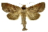  ( - INB0004161230)  @15 [ ] Copyright (2012) Juan Mata Lorenzen Unspecified