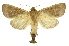  ( - INB0004161230)  @15 [ ] Copyright (2012) Juan Mata Lorenzen Unspecified