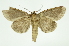  ( - INB0004161250)  @14 [ ] Copyright (2012) Juan Mata Lorenzen Unspecified