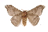  ( - INB0004162174)  @14 [ ] Copyright (2012) I. Chacon Instituto Nacional de Biodiversidad