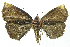  ( - INB0004162627)  @12 [ ] CreativeCommons - Attribution Non-Commercial Share-Alike  National Biodiversity Institute of Costa Rica National Biodiversity Institute of Costa Rica