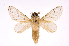  ( - INB0004162854)  @14 [ ] Copyright (2012) J. Montero Instituto Nacional de Biodiversidad