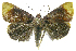  ( - INB0004164798)  @14 [ ] CreativeCommons - Attribution Non-Commercial Share-Alike  National Biodiversity Institute of Costa Rica National Biodiversity Institute of Costa Rica