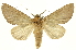  ( - INB0004164899)  @14 [ ] Copyright (2012) Juan Mata Lorenzen Unspecified