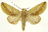  ( - INB0004164952)  @15 [ ] Copyright (2012) J. Montero INBio