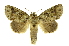  ( - INB0004165020)  @14 [ ] Copyright (2012) Juan Mata Lorenzen Unspecified