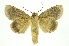  ( - INB0004165020)  @14 [ ] Copyright (2012) Juan Mata Lorenzen Unspecified