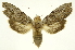  ( - INB0004169510)  @14 [ ] Copyright (2012) Juan Mata Lorenzen Unspecified