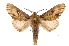  ( - INB0004169574)  @14 [ ] Copyright (2012) I. Chacon Instituto Nacional de Biodiversidad