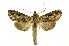  ( - INB0004173037)  @14 [ ] Copyright (2012) Juan Mata Lorenzen Unspecified