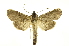  ( - INB0004173037)  @14 [ ] Copyright (2012) Juan Mata Lorenzen Unspecified