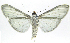  ( - INB0004174793)  @15 [ ] CreativeCommons - Attribution Non-Commercial Share-Alike (2012) National Biodiversity Institute of Costa Rica National Biodiversity Institute of Costa Rica