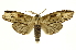  ( - INB0004174895)  @13 [ ] Copyright (2012) Juan Mata Lorenzen Unspecified