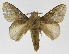  ( - INB0004175391)  @13 [ ] Copyright (2012) J. Montero Instituto Nacional de Biodiversidad