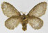  ( - INB0004175479)  @12 [ ] Copyright (2012) J. Montero Instituto Nacional de Biodiversidad