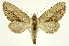 ( - INB0004175499)  @13 [ ] Copyright (2012) Juan Mata Lorenzen Unspecified