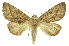  ( - INB0004175578)  @14 [ ] Copyright (2012) Juan Mata Lorenzen INBio