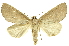  ( - INB0004175578)  @14 [ ] Copyright (2012) Juan Mata Lorenzen INBio