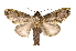  ( - INB0004175798)  @14 [ ] Copyright (2012) I. Chacon Instituto Nacional de Biodiversidad