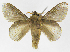  ( - INB0004178700)  @12 [ ] Copyright (2012) J. Montero Instituto Nacional de Biodiversidad