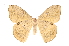  ( - INB0004182741)  @14 [ ] Copyright (2012) I. Chacon Instituto Nacional de Biodiversidad
