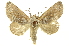  ( - INB0004183406)  @14 [ ] Copyright (2012) Juan Mata Lorenzen Unspecified