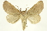  ( - INB0004183406)  @14 [ ] Copyright (2012) Juan Mata Lorenzen Unspecified
