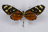  ( - INB0004183523)  @14 [ ] CreativeCommons - Attribution Non-Commercial Share-Alike (2012) National Biodiversity Institute of Costa Rica National Biodiversity Institute of Costa Rica