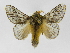  ( - INB0004184860)  @15 [ ] Copyright (2012) J. Montero Instituto Nacional de Biodiversidad