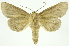  ( - INB0004186202)  @11 [ ] Copyright (2012) Juan Mata Lorenzen Unspecified