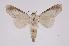  ( - INB0004186203)  @12 [ ] Copyright (2012) I. Chacon Instituto Nacional de Biodiversidad