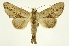  ( - INB0004186245)  @13 [ ] Copyright (2012) Juan Mata Lorenzen Unspecified