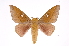  ( - INB0004186268)  @14 [ ] Copyright (2012) I. Chacon Instituto Nacional de Biodiversidad