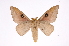  ( - INB0004186268)  @14 [ ] Copyright (2012) I. Chacon Instituto Nacional de Biodiversidad