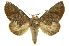  ( - INB0004187503)  @14 [ ] Copyright (2012) Juan Mata Lorenzen Unspecified