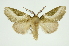  ( - INB0004187513)  @13 [ ] Copyright (2012) Juan Mata Lorenzen Unspecified